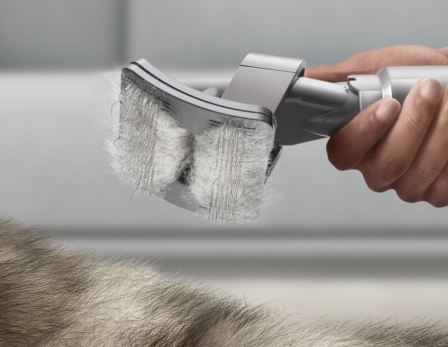 Dyson Pet grooming tool picking up pet hair